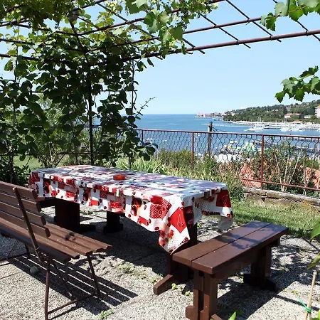 Mg Apartman